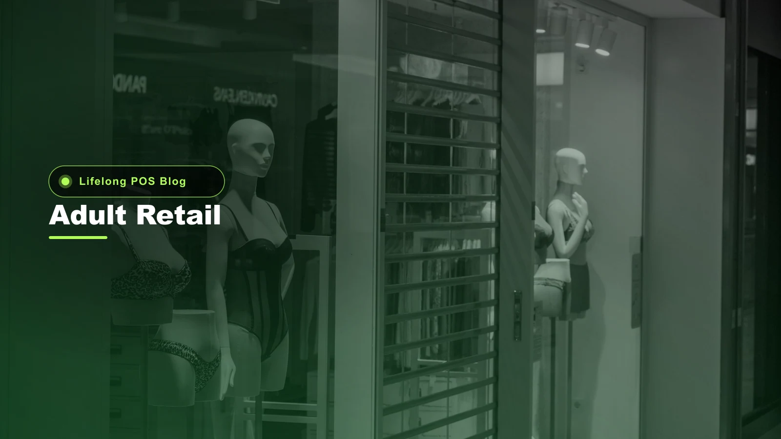 Adult Retail POS & Payment Processing in 2026